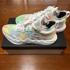 NIKE ZOOM GT RUN 30cm GTランのサムネイル