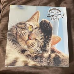 日めくりニャンコ　2025 カレンダーのサムネイル