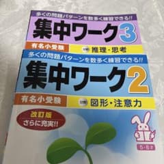 【しょうがく社】集中ワーク2（図形・注意力）3（推理・思考）のサムネイル