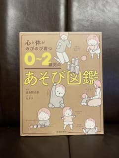 A play guide for 0-2 year olds that helps develop their minds and bodies