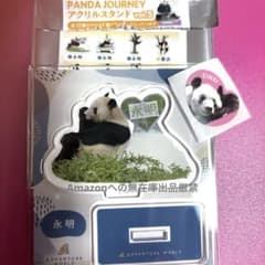 アクリルスタンド 永明 アドベンチャーワールド パンダ - メルカリ