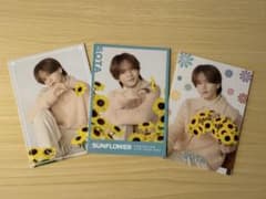 おまけ付き】SUNFLOWER 中島颯太フォトカード シクレ コンプセット