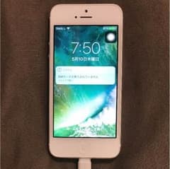iPhone 5 White 16 GB Softbankのサムネイル
