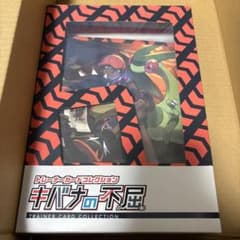 PSA10 キバナ トレーナーカードコレクション キバナの不屈 プロモ① 228/S-P キバナ： トレーナーカードコレクション キバナの不屈 | S-P