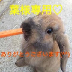 葉様専用‼︎のサムネイル