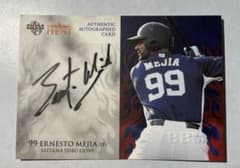 埼玉西武ライオンズ エルネスト・メヒア 直筆サインカード - メルカリ