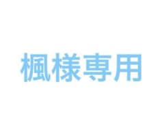 楓様専用KAITO 缶バッジ 9つセット レオニのサムネイル