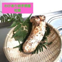 わけあり岩手県産松茸200グラムのサムネイル