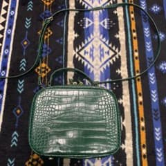 ZARA クロコダイル柄 2wayバッグのサムネイル