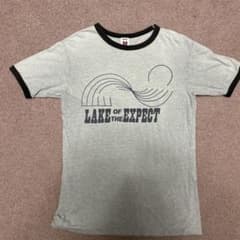 BEAMS Tシャツ　Mサイズ　グレーのサムネイル