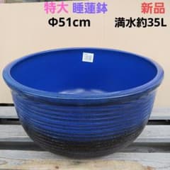 新品　∅50　陶器　睡蓮鉢　特大　メダカ鉢　難有　手書き絵　花柄　手造りLKB2 新品 ∅50 陶器 睡蓮鉢 特大 メダカ鉢 難有 手書き絵 花柄 手造りLKB2