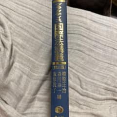 プラクティス国際法講義のサムネイル