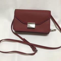 ZARA お財布ショルダー難ありのサムネイル