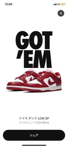 NIKE DUNK low 29cmのサムネイル