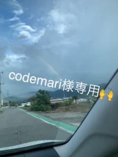 codemari様専用です！のサムネイル