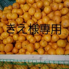 きえ様専用  上ノ太子みかん園のみかんのサムネイル