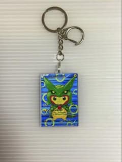 ポケモン ポンチョを着たピカチュウ レックウザ　アクリルキーホルダー 2種セット