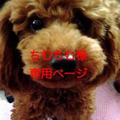 メグリズムのサムネイル