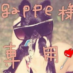 gappe様 専用出品のサムネイル