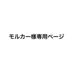 モルカー様専用ページのサムネイル