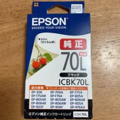 EPSON ICLC70Lのサムネイル