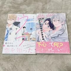 ぽむぽーむ様 リクエスト 2点 まとめ商品 - メルカリ