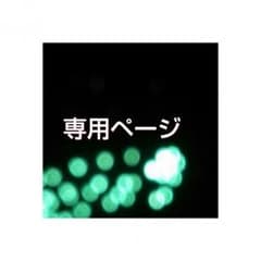 専用ページ　ベビータウンポイントのサムネイル