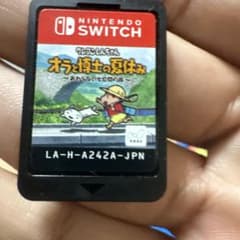 Crayon Shin-chan: My Summer Vacation with the Professor (Switch Software)