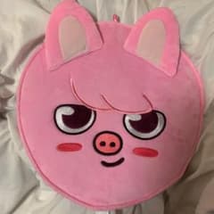 Stray Kids チャンビン トェッキ うちわカバーのサムネイル
