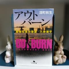 八神瑛子シリーズ　4冊セット 深町秋生 【Huluドラマ原作】のサムネイル