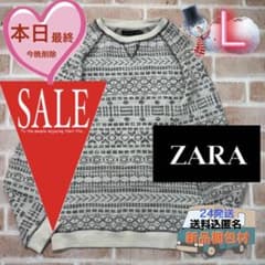 □ZARA フェアアイル柄 ホワイトニット ノルディック柄セーター - メルカリ