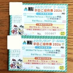 よみうりランド プール WAI 平日 チケット 2枚 - メルカリ