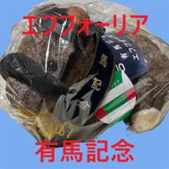 エフフォーリア アイドルホース 競馬 ぬいぐるみ AVANTI ウマ娘 新品K3