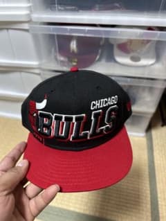 Chicago bullsのサムネイル