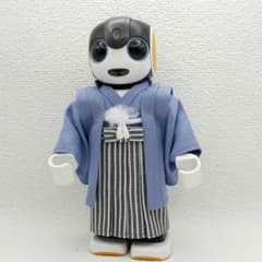 はむいちな 様 ロボホン 服 淡青藤色&山葵色 きもの 仙台平袴風 羽織