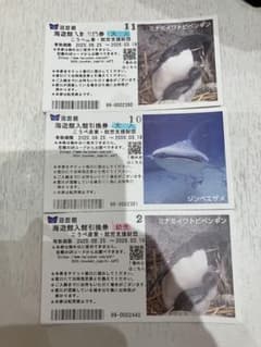 海遊館入館引換券3枚のサムネイル