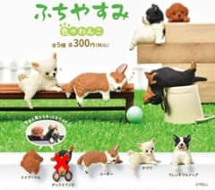 ふちやすみ　色々わんこ4種セットのサムネイル