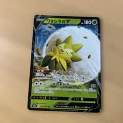 ワタシラガV RR ソード&シールド ハイクラスパック シャイニースターV キ…のサムネイル