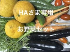 HAさま専用 新鮮お野菜セットのサムネイル