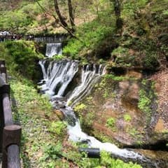 空音さん専用のサムネイル