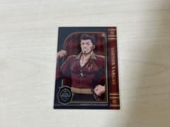 ツイステ クリアカード バルガス先生