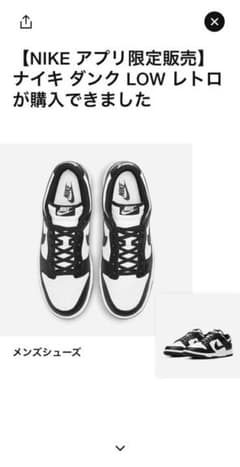 Nike Dunk Low Retro "White/Black"のサムネイル