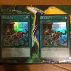 専用！のサムネイル