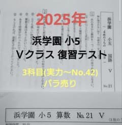 浜学園 小5 Vクラス 2025年度 復習テスト バラ売り 3科目 - メルカリ