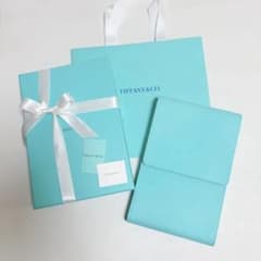 美品 ティファニー ハードウェア ネックレスケース ソフトケース 空箱