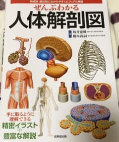ぜんぶわかる人体解剖図 系統別・部位別にわかりやすくビジュアル解説のサムネイル