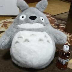 めい様専用トトロリュック美品です☆のサムネイル