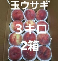 山形県産ミネラル使用桃 玉ウサギ 詰め合わせ 訳あり 3キロ 2箱のサムネイル