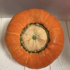 ♦️金山かぼちゃ種　鮮やかなオレンジ 　色のかぼちゃのサムネイル