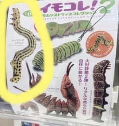 イモコレ2 ヒロオビトンボエダシャクのサムネイル